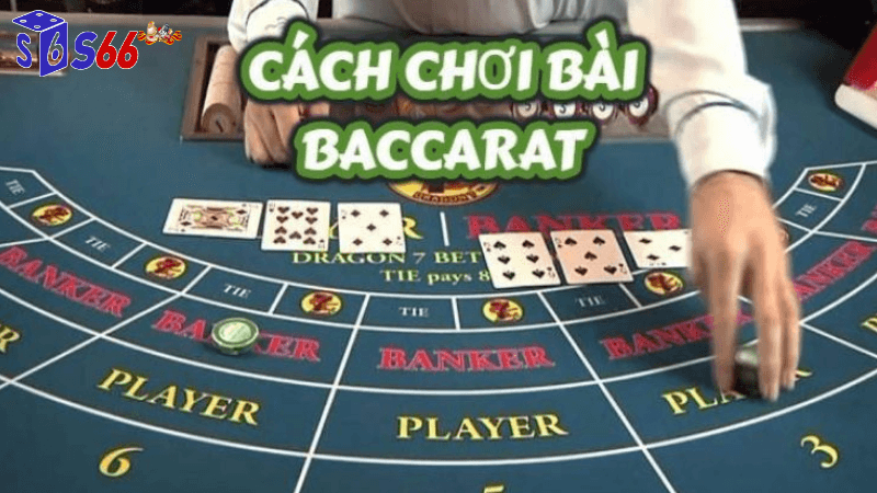 Cách thực hiện baccarat online